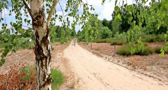 planung reitwege doeberitzer Heide